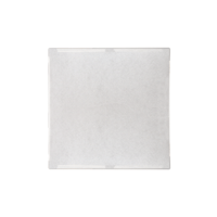 psb Speakers C-LCR Angled In-Ceiling Speaker variant 2