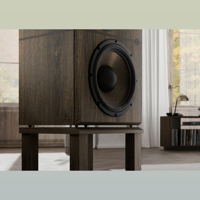 Revival Audio ATALANTE Grande Réserve variant 6