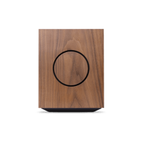 Cambridge Audio L/R X variant 28