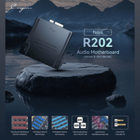 Cayin R2R Audio Motherboard variant 1