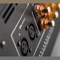 Cayin M-11LS variant 5