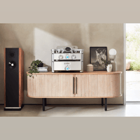 Chord Electronics DAVE variant 4