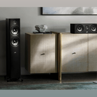 Denon Reserve R300 variant 6