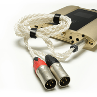 ifi Audio iDSD Valkyrie Bundle variant 6