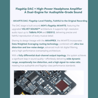 Cayin T201 Audio Motherboard variant 8