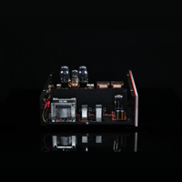 SW1x LPU IV Phono Pre-Amplifier variant 12