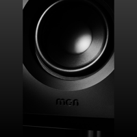 MonAcoustic PlatiMon Virtual Coaxial ONE MKII variant 13
