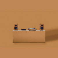 Pro-ject Audio Systems - USA Speaker Box 5 S2 variant 20