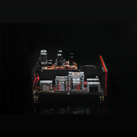 SW1x DAC IV variant 6