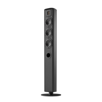 Piega usa Ace 50 Floorstanding Speakers [Pair] variant 8