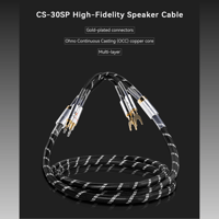 Cayin CS-30SP variant 1