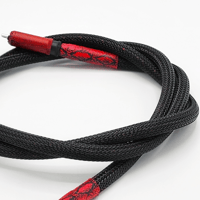 Snake River Audio Takshaka Digital - RCA to RCA variant 2