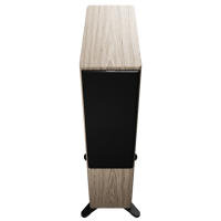 Dynaudio Focus 50 variant 17