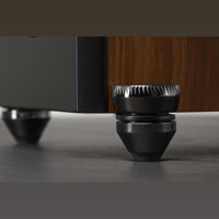 MartinLogan Motion F20 variant 3