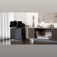 Avantgarde Acoustic COLIBRI variant 19