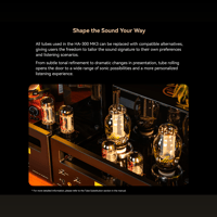 Cayin HA-300 MK3 variant 6