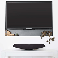 Sonus Faber Omnia variant 11