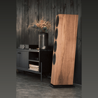 Buchardt Audio A700 LE variant 16