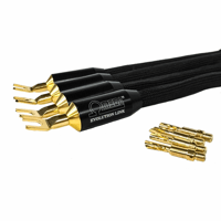 Tara Labs Omega Evolution Speaker Links variant 1