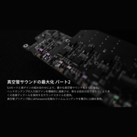 Oriolus Luxury&Precision EA4 variant 5