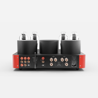 Fezz Audio Lybra 300B variant 16