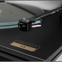 Gold Note t-5 variant 2