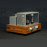 ThivanLabs MAGPIE 811 H&S variant 8