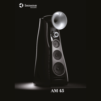 Seawave Acoustic AM 45 variant 4