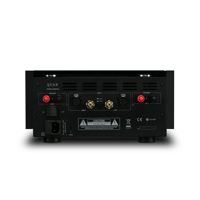 Quad Artera Stereo variant 12
