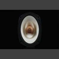 SW1x MTR 963 Monitor Loudspeakers variant 15