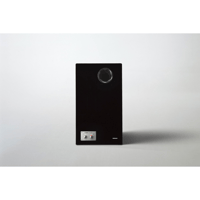 Yamaha NS-5000 variant 7