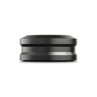 MoFi Electronics Super Heavyweight Champion Record Weight variant 3