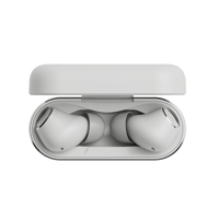 Cambridge Audio Melomania A100 variant 9