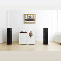 Pro-ject Audio Systems - USA 175 – The Vienna Philharmonic Recordplayer variant 7