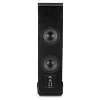 MoFi Electronics SourcePoint V10 Master Edition Floorstanding Speakers [Pair] variant 8