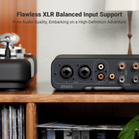 Fosi Audio Fosi Audio ZA3 Balanced Stereo Amplifier variant 4