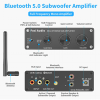 Fosi Audio Fosi Audio M01-BT Bluetooth Subwoofer Mono Amp variant 2