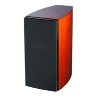 Aerial Acoustics 5T variant 4