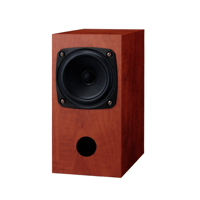 Fostex P1000-E variant 3