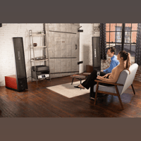 MartinLogan Expression  ESL 13A variant 47
