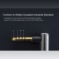 Cayin PH-4X variant 3