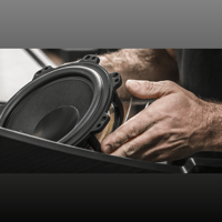 Sonus Faber Il Cremonese variant 8