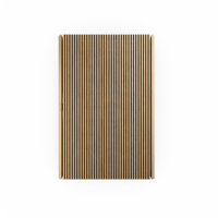 B&O-Bang & Olufsen  Beosound Level variant 2