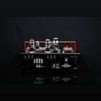 SW1x AMP III “Trinity” Integrated Amplifier variant 16