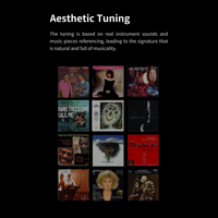 Aune S17 Pro  EVO   Headphone amplifier with AL3 XLR Balanced Male to Female 3-Pin Audio Cable 1 Pair variant 21