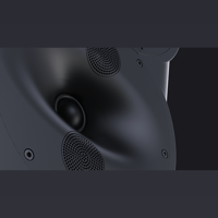 Perlisten R4s variant 7