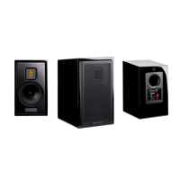 MartinLogan Motion AFX variant 12