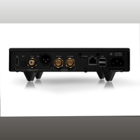 Denafrips Arce Streamer variant 3