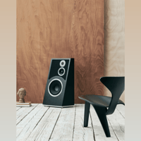Audiovector Trapeze Reimagined variant 15