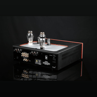 SW1x AMP IV “Aura” Integrated Amplifier variant 14